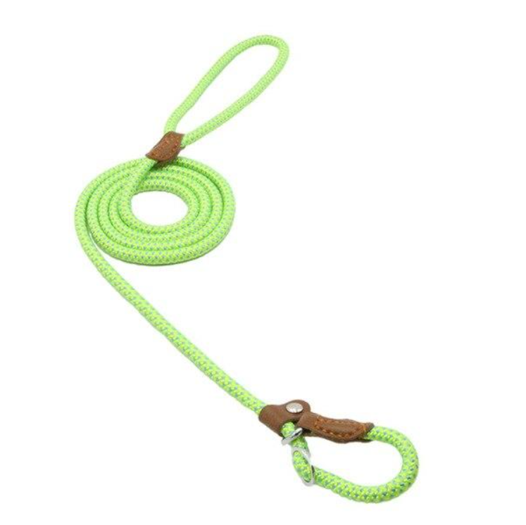 Nylon Dog Collar & Leash Set