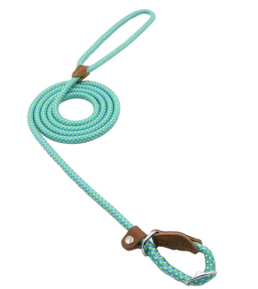 Nylon Dog Collar & Leash Set