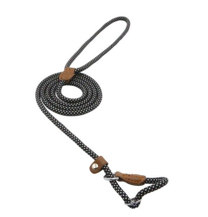 Nylon Dog Collar & Leash Set