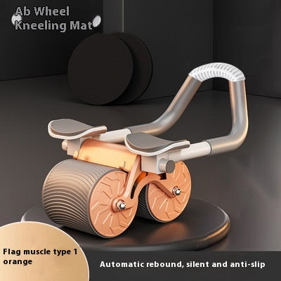 Ab Roller Wheel