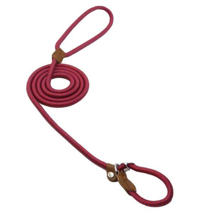 Nylon Dog Collar & Leash Set
