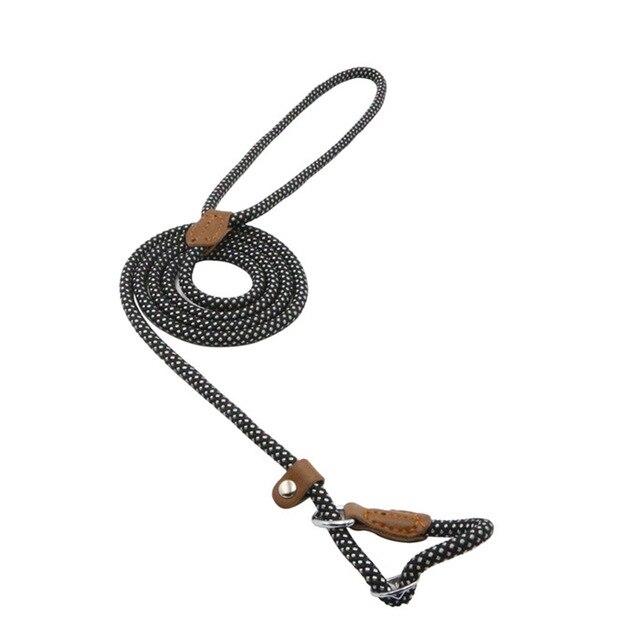 Nylon Dog Collar & Leash Set