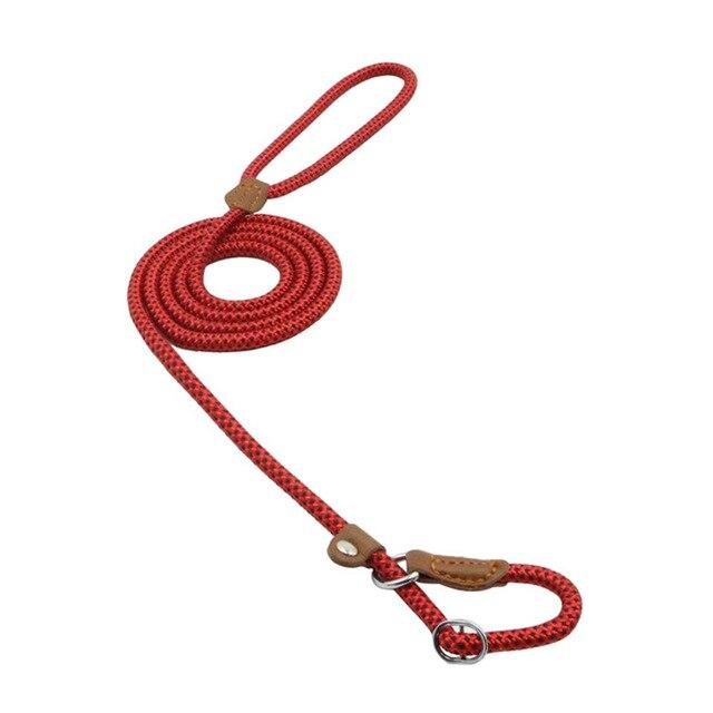 Nylon Dog Collar & Leash Set