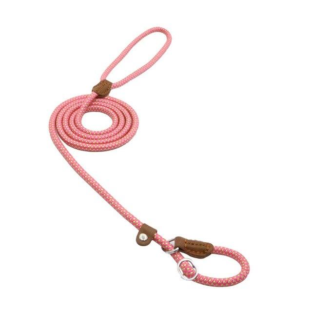Nylon Dog Collar & Leash Set