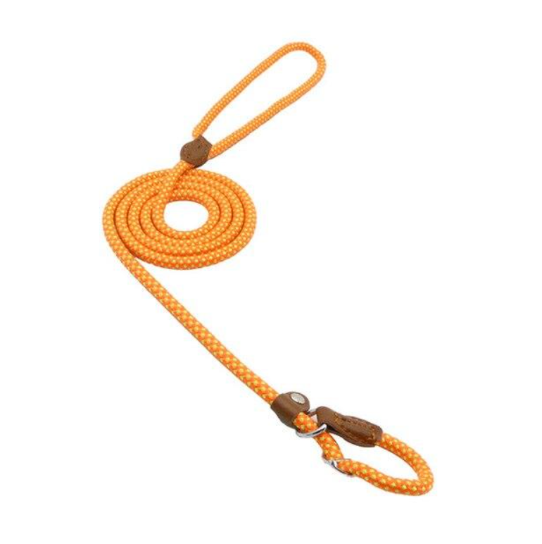 Nylon Dog Collar & Leash Set