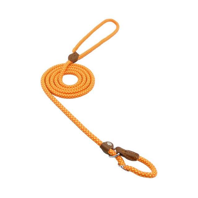 Nylon Dog Collar & Leash Set