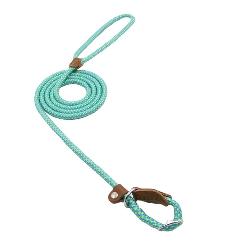 Nylon Dog Collar & Leash Set